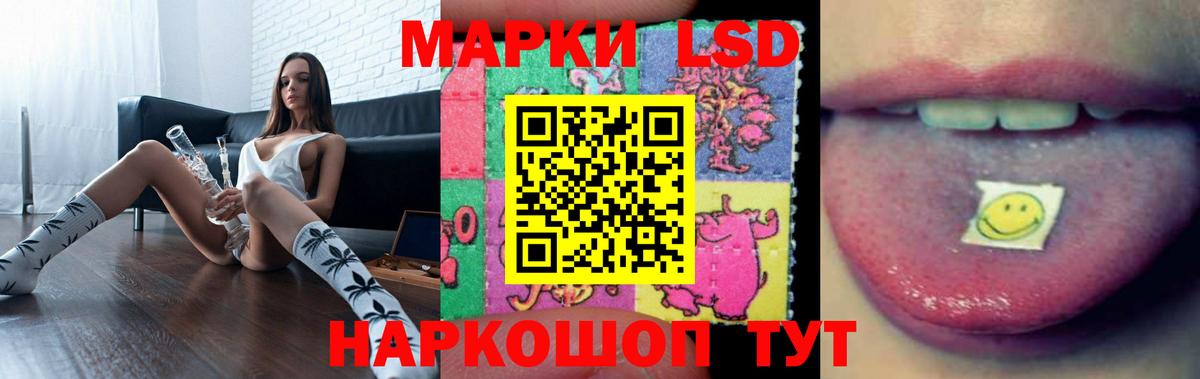  COCAIN Кингисепп