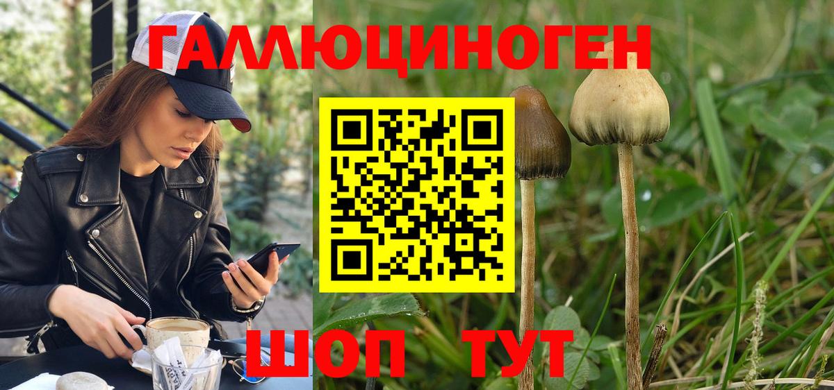 наркотики  Вход с VPN  Галлюциногенные грибы мухоморы  Кингисепп  Псилоцибиновые грибы Cubensis 